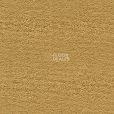 Ковролин Creatuft Sheba 1090 Gold 4+5m фото 1 | FLOORDEALER